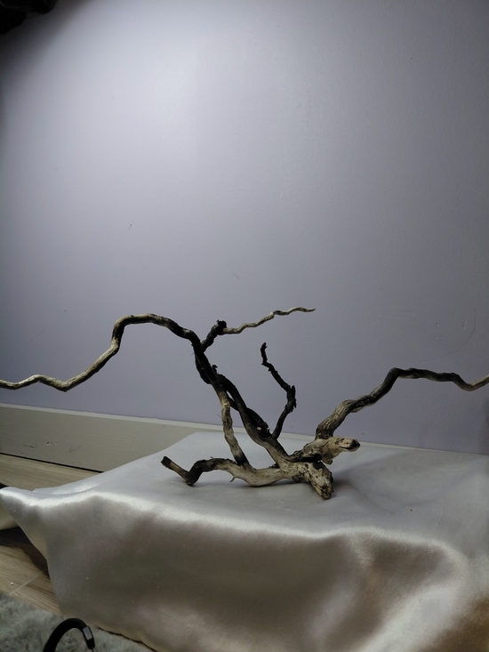 Other - CRAFT Natural Driftwood Decorative Branches